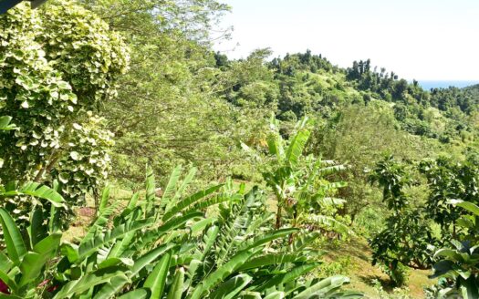 LA PLAINE – Nature Paradise, 3.86 Acre Organic Farm Bounding River With Sea View