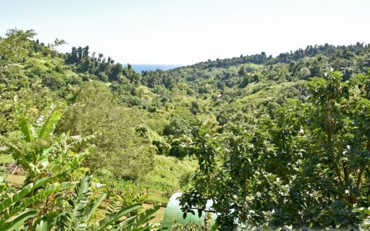 LA PLAINE – Nature Paradise, 3.86 Acre Organic Farm Bounding River With Sea View