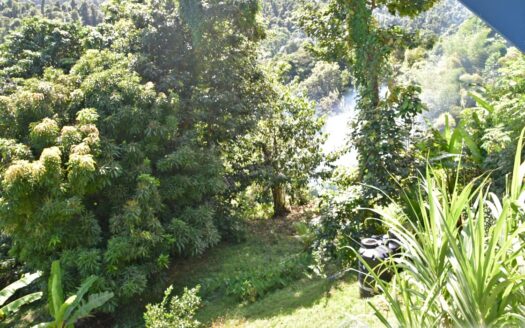LA PLAINE – Nature Paradise, 3.86 Acre Organic Farm Bounding River With Sea View