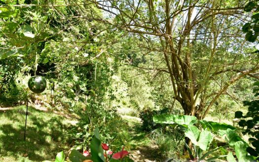 LA PLAINE – Nature Paradise, 3.86 Acre Organic Farm Bounding River With Sea View