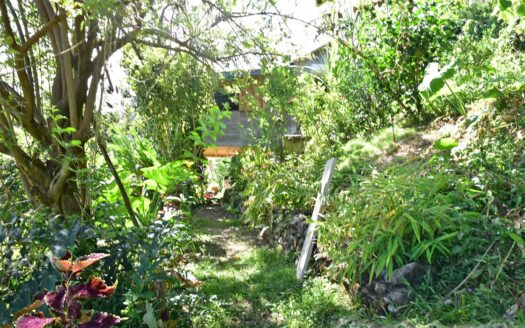 LA PLAINE – Nature Paradise, 3.86 Acre Organic Farm Bounding River With Sea View