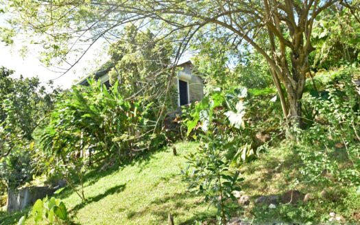 LA PLAINE – Nature Paradise, 3.86 Acre Organic Farm Bounding River With Sea View