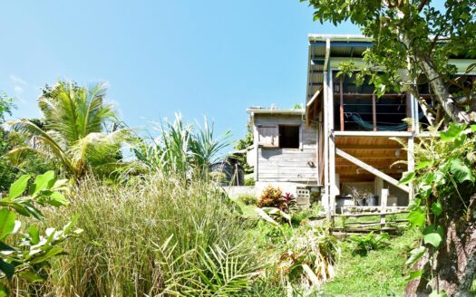 LA PLAINE – Nature Paradise, 3.86 Acre Organic Farm Bounding River With Sea View