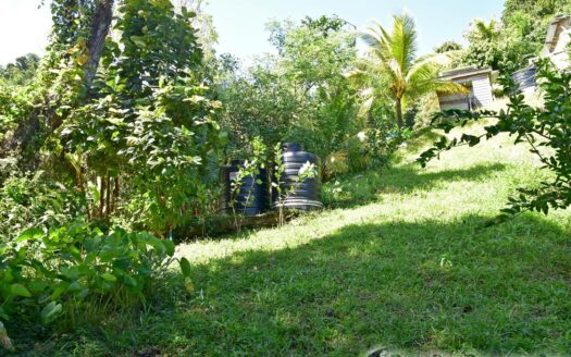 LA PLAINE – Nature Paradise, 3.86 Acre Organic Farm Bounding River With Sea View