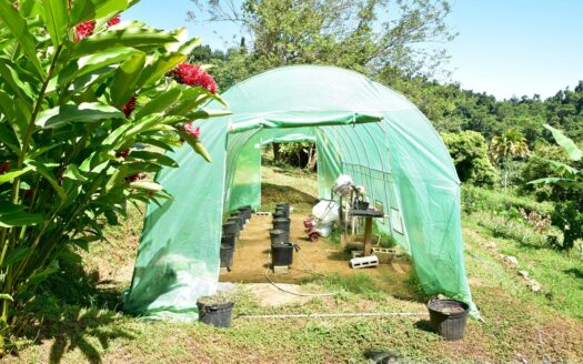 LA PLAINE – Nature Paradise, 3.86 Acre Organic Farm Bounding River With Sea View