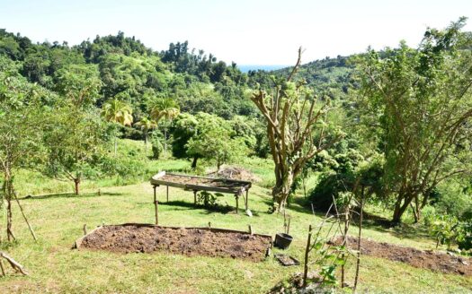 LA PLAINE – Nature Paradise, 3.86 Acre Organic Farm Bounding River With Sea View