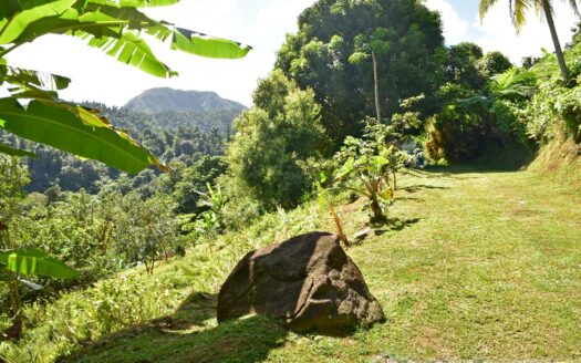 LA PLAINE – Nature Paradise, 3.86 Acre Organic Farm Bounding River With Sea View