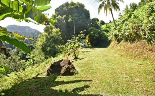 LA PLAINE – Nature Paradise, 3.86 Acre Organic Farm Bounding River With Sea View