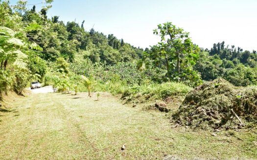 LA PLAINE – Nature Paradise, 3.86 Acre Organic Farm Bounding River With Sea View