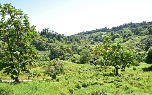 LA PLAINE – Nature Paradise, 3.86 Acre Organic Farm Bounding River With Sea View