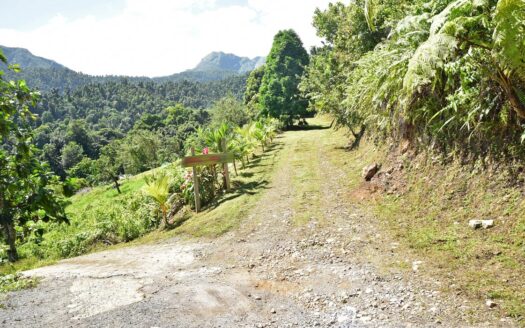 LA PLAINE – Nature Paradise, 3.86 Acre Organic Farm Bounding River With Sea View