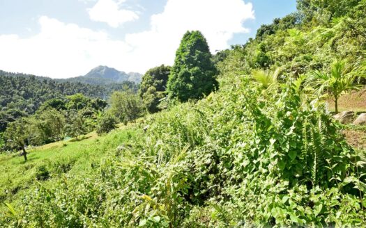 LA PLAINE – Nature Paradise, 3.86 Acre Organic Farm Bounding River With Sea View