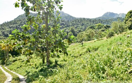 LA PLAINE – Nature Paradise, 3.86 Acre Organic Farm Bounding River With Sea View