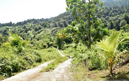 LA PLAINE – Nature Paradise, 3.86 Acre Organic Farm Bounding River With Sea View