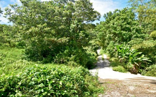 LA PLAINE – Nature Paradise, 3.86 Acre Organic Farm Bounding River With Sea View