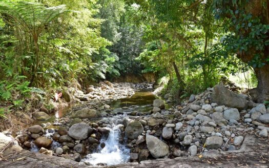 LA PLAINE – Nature Paradise, 3.86 Acre Organic Farm Bounding River With Sea View