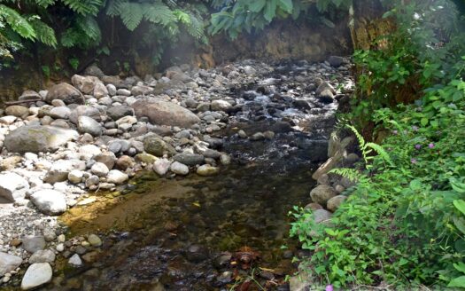 LA PLAINE – Nature Paradise, 3.86 Acre Organic Farm Bounding River With Sea View