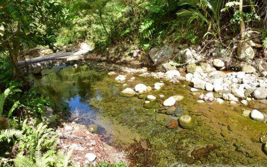 LA PLAINE – Nature Paradise, 3.86 Acre Organic Farm Bounding River With Sea View