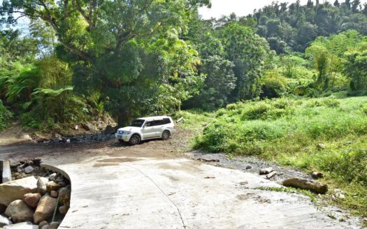 LA PLAINE – Nature Paradise, 3.86 Acre Organic Farm Bounding River With Sea View