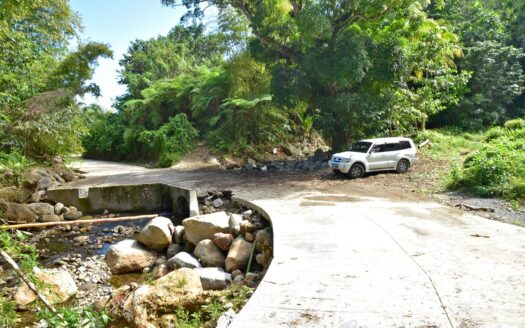 LA PLAINE – Nature Paradise, 3.86 Acre Organic Farm Bounding River With Sea View