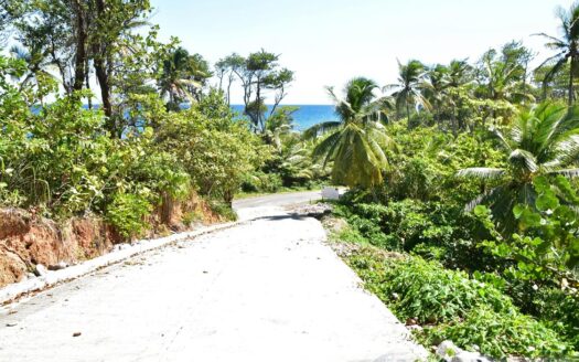 LA PLAINE – Nature Paradise, 3.86 Acre Organic Farm Bounding River With Sea View