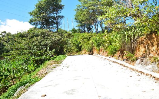 LA PLAINE – Nature Paradise, 3.86 Acre Organic Farm Bounding River With Sea View