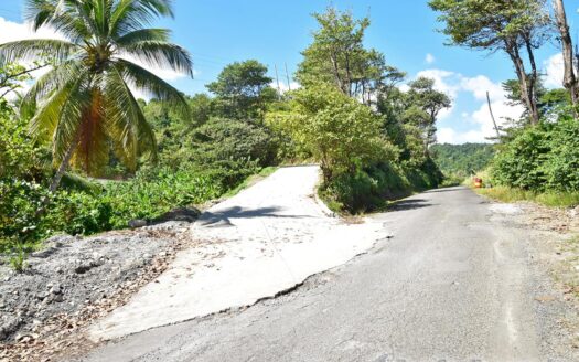 LA PLAINE – Nature Paradise, 3.86 Acre Organic Farm Bounding River With Sea View