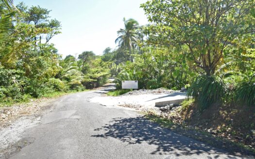 LA PLAINE – Nature Paradise, 3.86 Acre Organic Farm Bounding River With Sea View