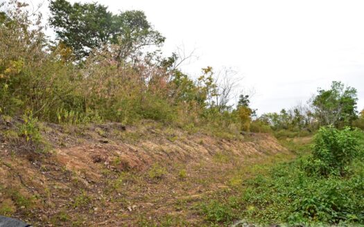 BIOCHE – 20.578 Acres Of Development Land With Spectacular Sea & Mountain Views