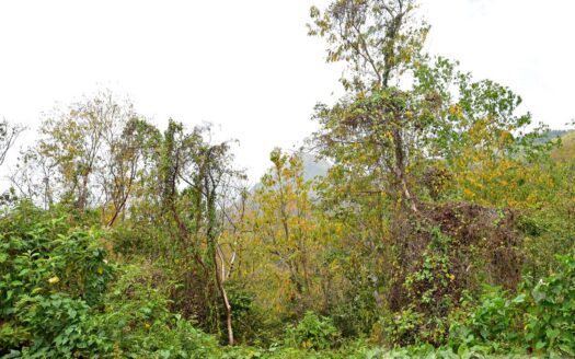 BIOCHE – 20.578 Acres Of Development Land With Spectacular Sea & Mountain Views