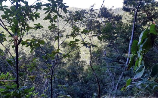 BIOCHE – 20.578 Acres Of Development Land With Spectacular Sea & Mountain Views