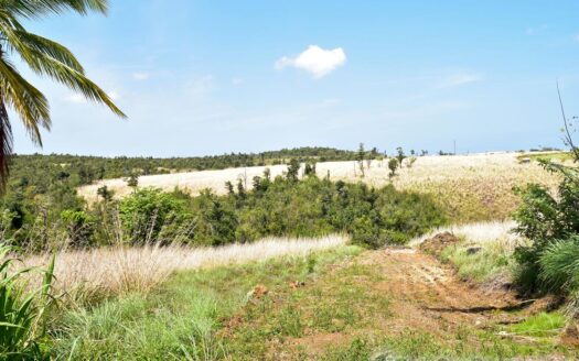 WARNER – 2.50 Acres Of Residental Land