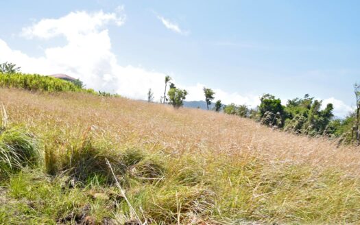 WARNER – 2.50 Acres Of Residental Land