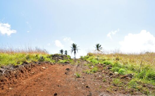 WARNER – 2.50 Acres Of Residental Land