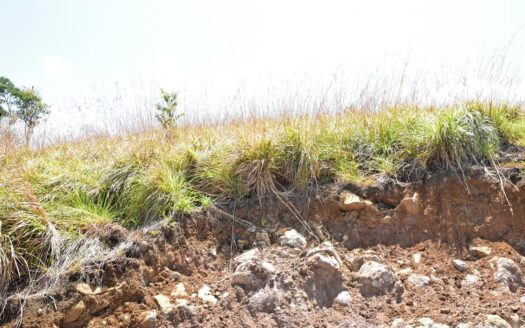 WARNER – 2.50 Acres Of Residental Land