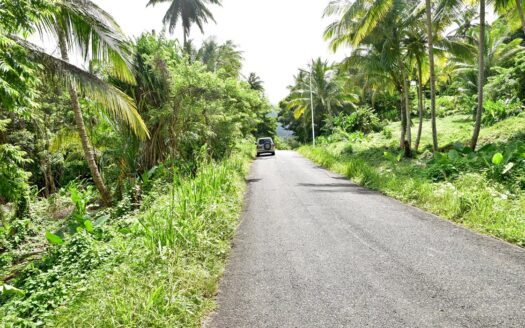 ROSALIE ESTATE – 11,744.sq.ft. Hide Away Nature Haven