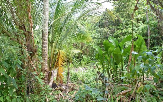 ROSALIE ESTATE – 11,744.sq.ft. Hide Away Nature Haven