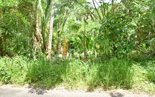 ROSALIE ESTATE – 11,744.sq.ft. Hide Away Nature Haven