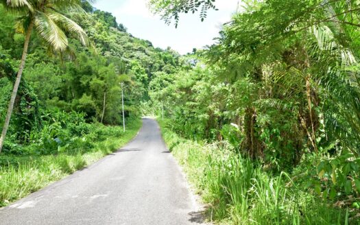 ROSALIE ESTATE – 11,744.sq.ft. Hide Away Nature Haven