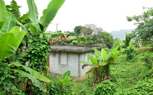 Carib DELICES – Traditional Bungalow On 14,114.sq.ft. With Refreshing Views