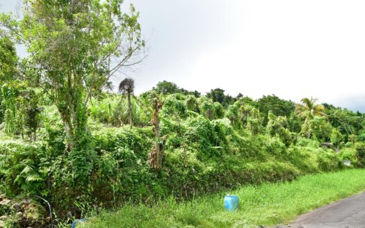 Bois Bellevue, BOETICA – 2.40 Acres Of Elevated Fertile Land With Spring Source & Spectacular Ocean Views