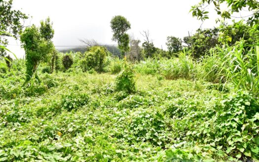 Bois Bellevue, BOETICA – 2.40 Acres Of Elevated Fertile Land With Spring Source & Spectacular Ocean Views