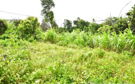 Bois Bellevue, BOETICA – 2.40 Acres Of Elevated Fertile Land With Spring Source & Spectacular Ocean Views