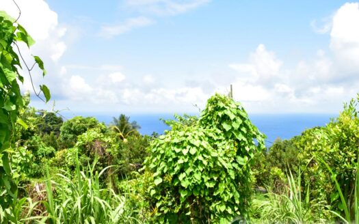 Bois Bellevue, BOETICA – 2.40 Acres Of Elevated Fertile Land With Spring Source & Spectacular Ocean Views