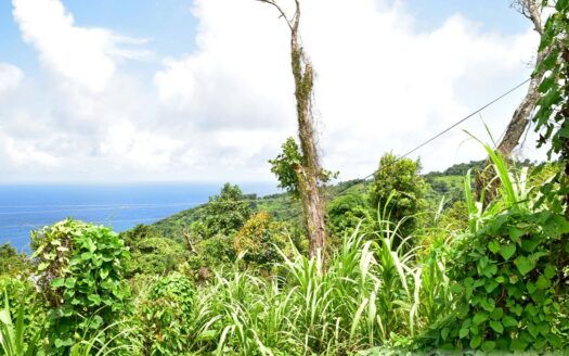 Bois Bellevue, BOETICA – 2.40 Acres Of Elevated Fertile Land With Spring Source & Spectacular Ocean Views