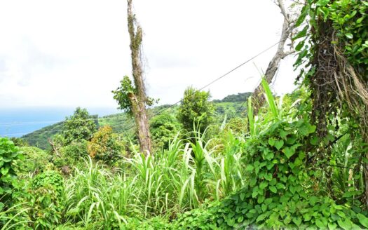 Bois Bellevue, BOETICA – 2.40 Acres Of Elevated Fertile Land With Spring Source & Spectacular Ocean Views