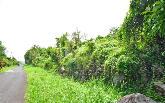 Bois Bellevue, BOETICA – 2.40 Acres Of Elevated Fertile Land With Spring Source & Spectacular Ocean Views