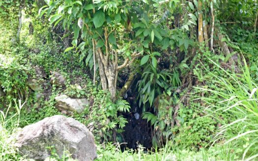 Bois Bellevue, BOETICA – 2.40 Acres Of Elevated Fertile Land With Spring Source & Spectacular Ocean Views