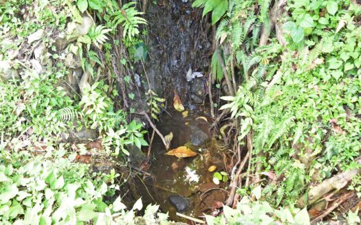 Bois Bellevue, BOETICA – 2.40 Acres Of Elevated Fertile Land With Spring Source & Spectacular Ocean Views