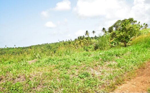 HAMPSTEAD, Calibishie – 6.25 Acres Of Agricultural Land With Resiential Potencial & Invigorating Ocean Views